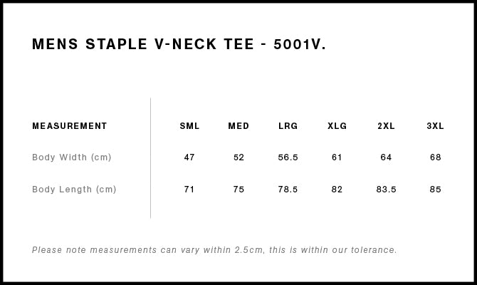 Men's Staple V Neck Tee - 5001V