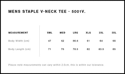 Men's Staple V Neck Tee - 5001V